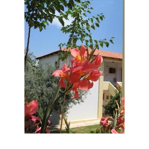 Hotel Heleni Apartments