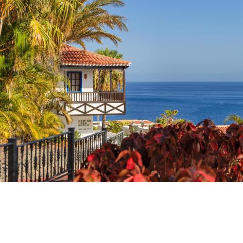 Hotel Jardín Tecina
