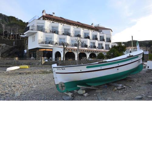 Hotel Llane Petit