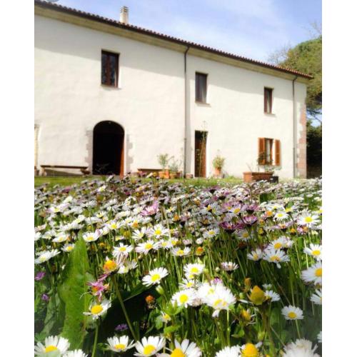 Hotel Locanda Minerva