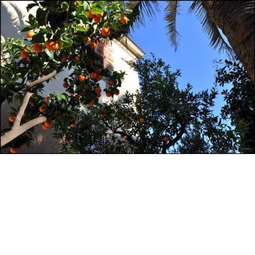 Hotel Lodi