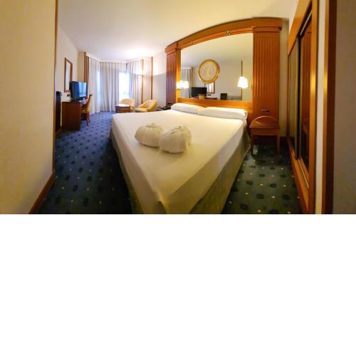 Hotel los Bracos by Silken