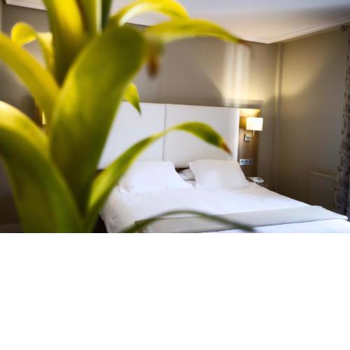 Hotel Los Lagos Nature