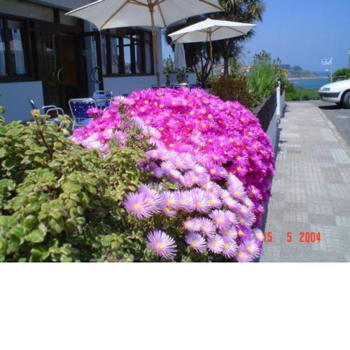 Hotel Los Laureles