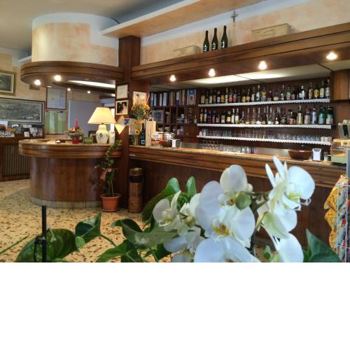 Hotel Marchina