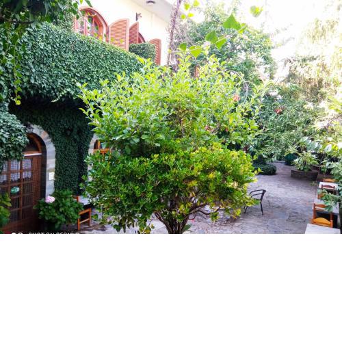 Hotel Maria(Lassithi Crete)