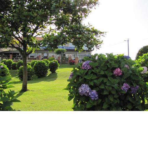 Hotel Migal