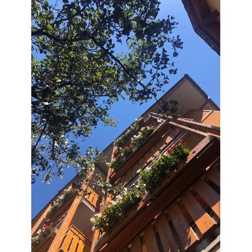 Hotel Moizi