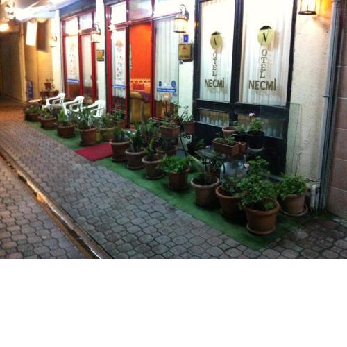 Hotel Necmi