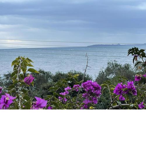 Hotel panorama sea view