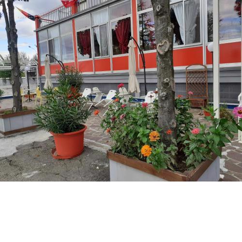 Hotel Paradiso
