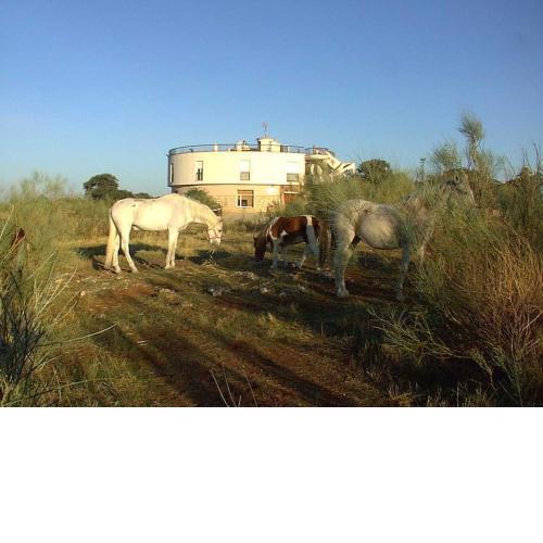 Hotel Paraje La Lambra