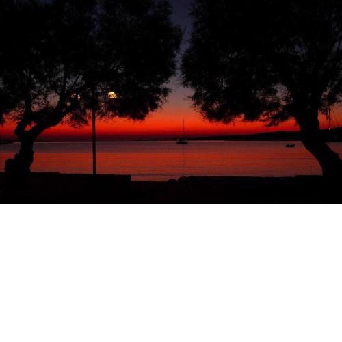 Hotel Paros