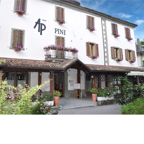 Hotel Pini