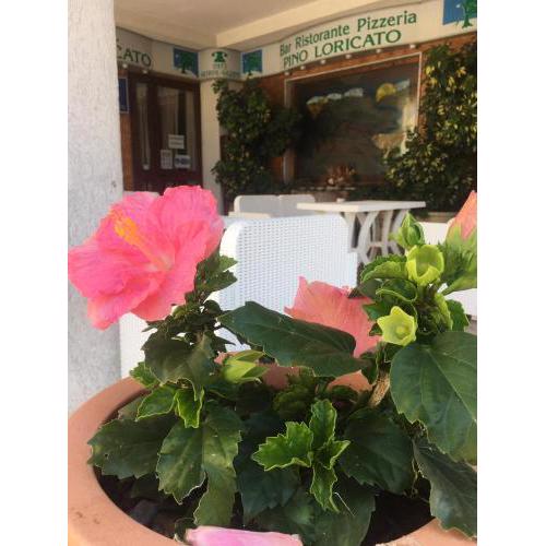 Hotel PINO LORICATO