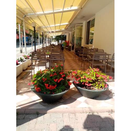Hotel Ribot