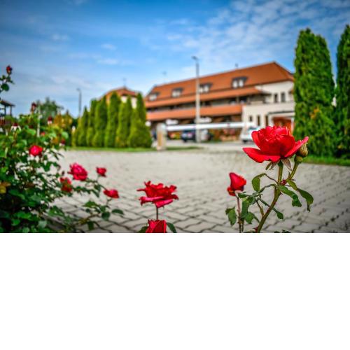 Hotel Rózsa Csárda