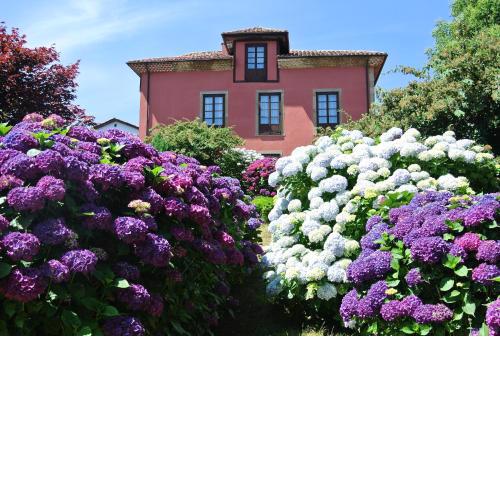 Hotel Rural El Algaire