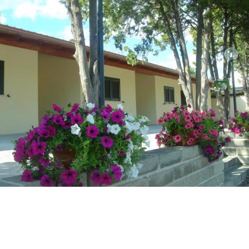 Hotel Samarcanda