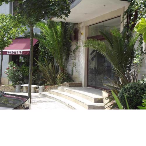 Hotel San Blas