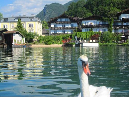 Hotel Seerose Garni Wolfgangsee