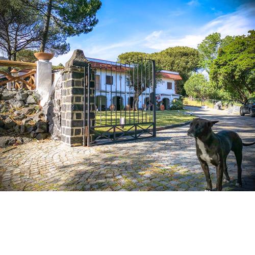 Hotel Sirio