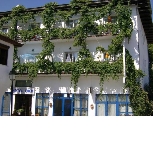 Hotel Theo