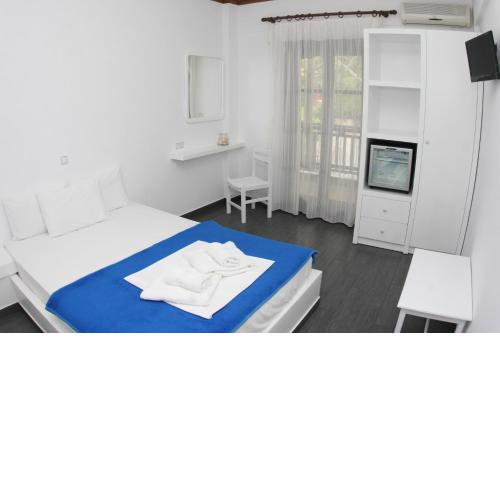 Hotel Theopisti