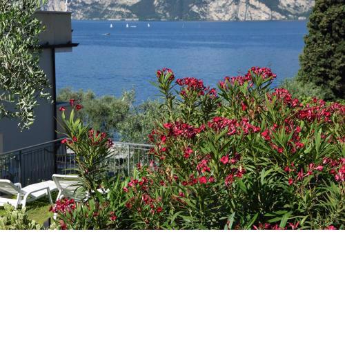Hotel Vela Azzurra