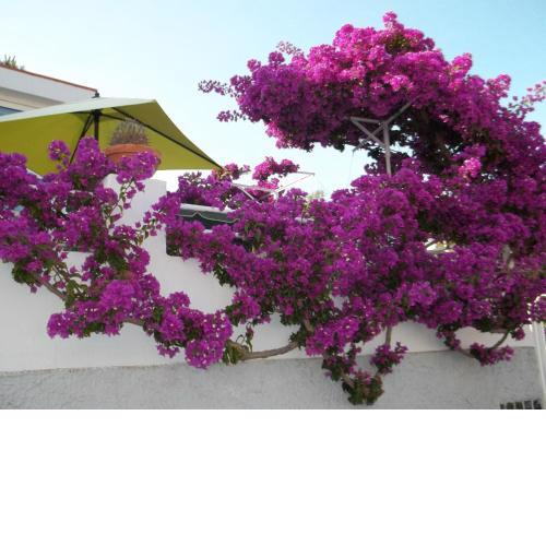 Hotel Villa Cecilia