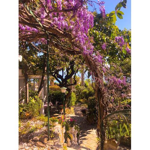 Hotel Villa La Brise