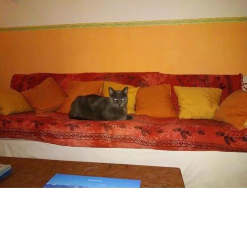 Hotel Villa Morgana