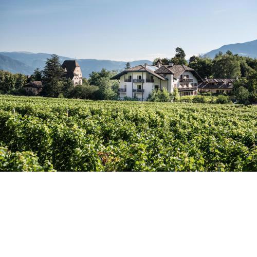 Hotel Weingut Stroblhof