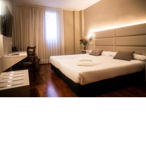 Hotel Zaragoza Royal