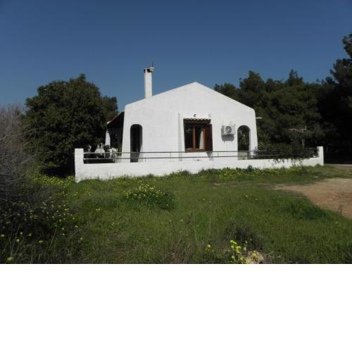 House By The Sea