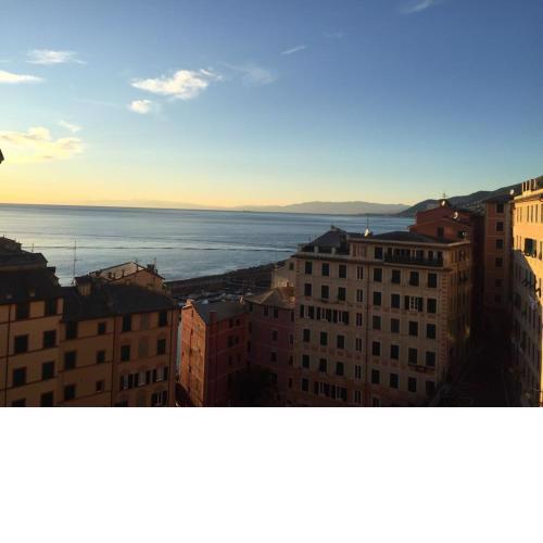 House Camogli
