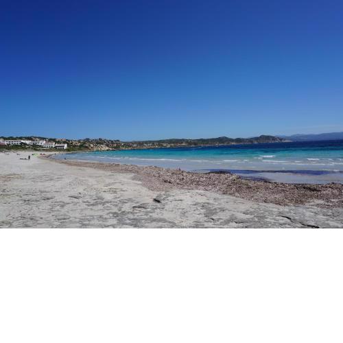 House Capo Testa by Holiday World