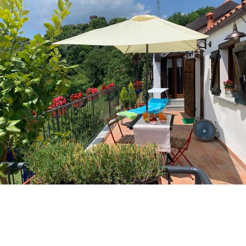 House Lerca 19 by Holiday World