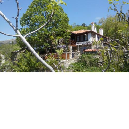 House Rodia