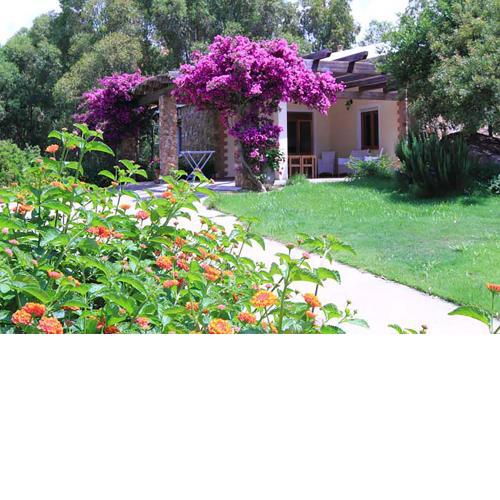 House Suestellas