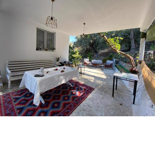 House with beautiful garden in Plomari