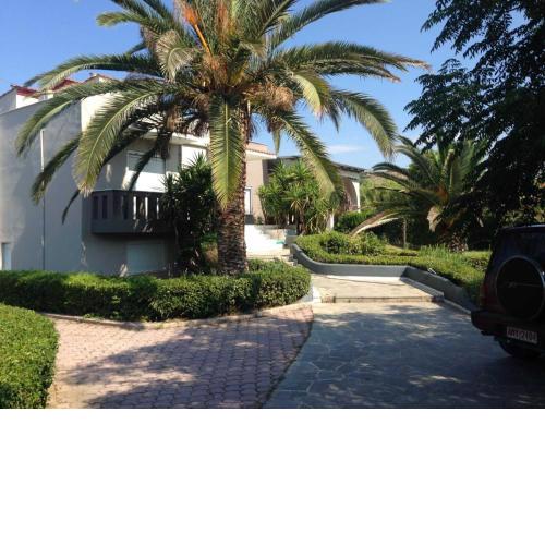 House with Garden