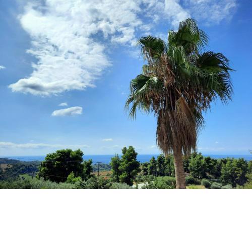 House with View