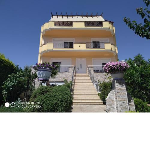 House with Wonderful View