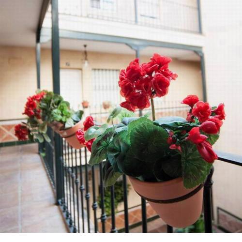 HSH Suites Corrala Triana