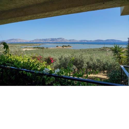 Hydra overlooking cottage.