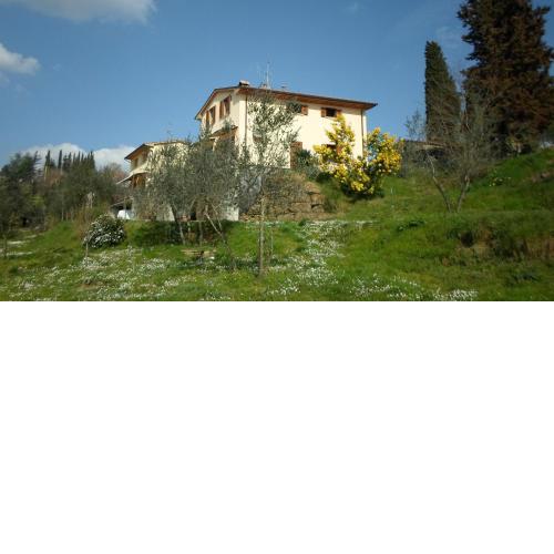 I 3 Cipressi