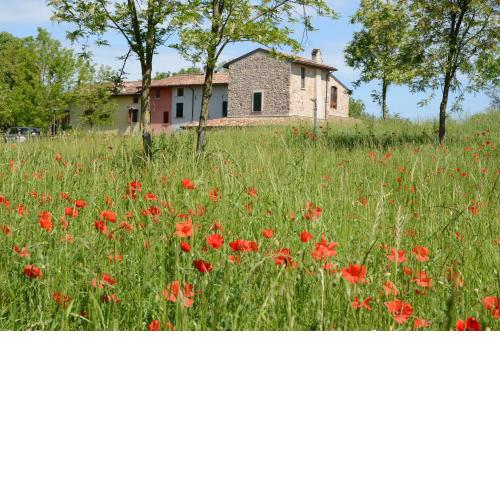 I Barbasse Casa Rossa