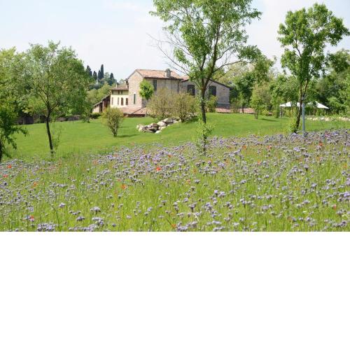 I Barbasse Estate