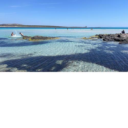 I Pescatori di Stelle-L11 VEGA